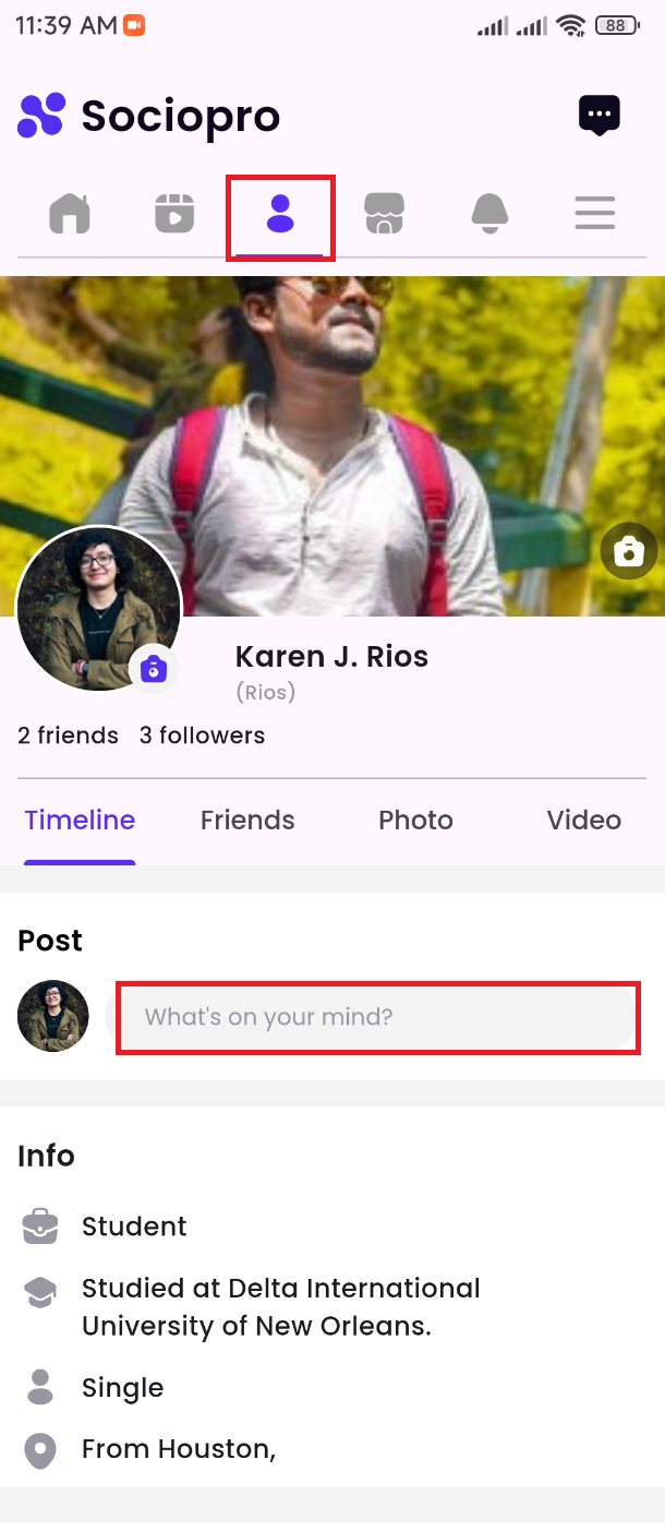 17173964730