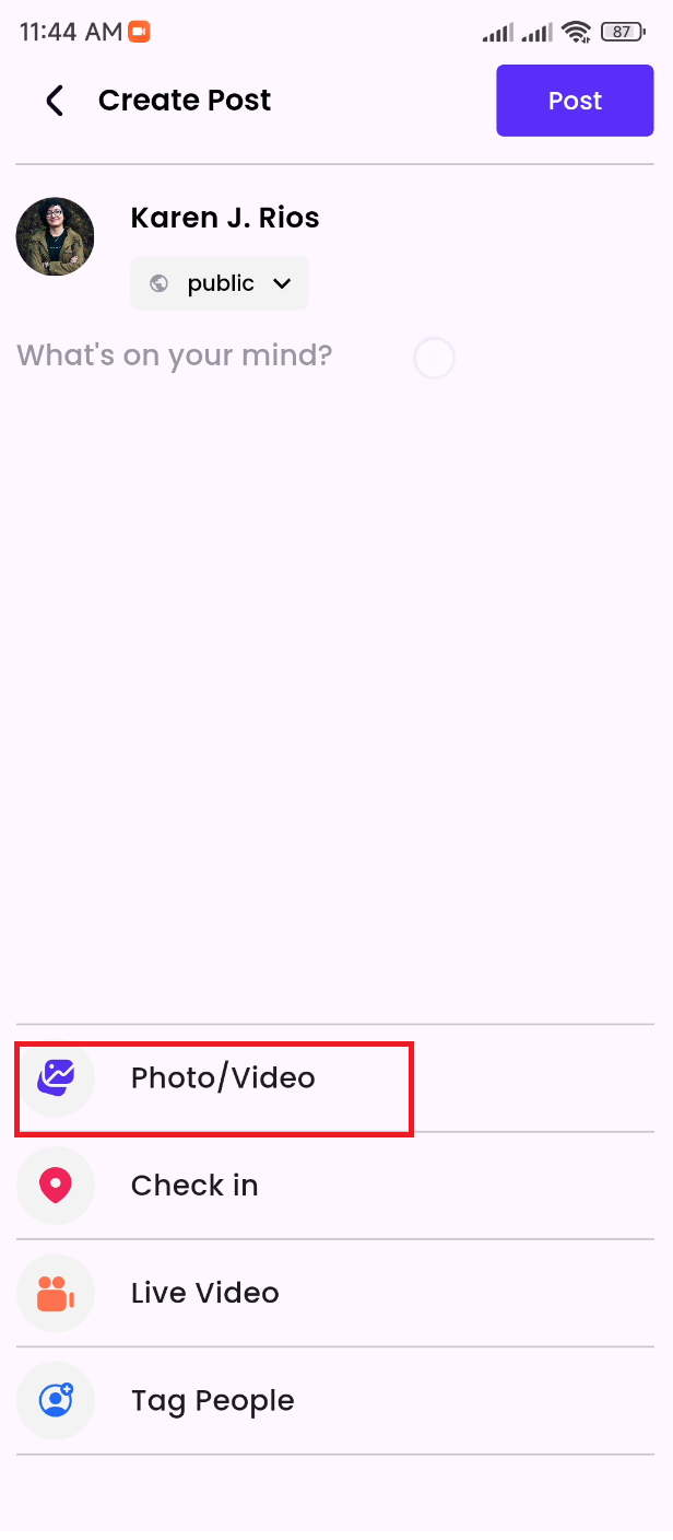 17173964733