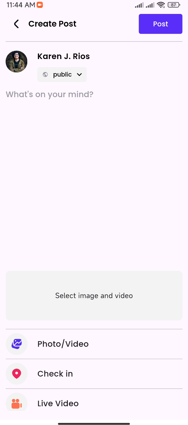 17173964734